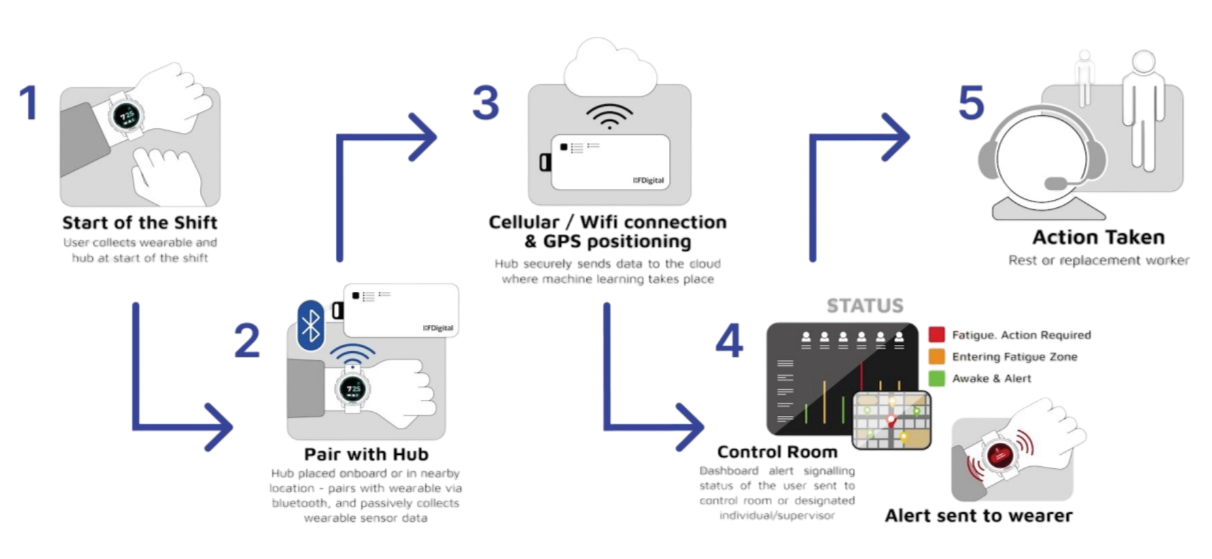 Process Workflow: